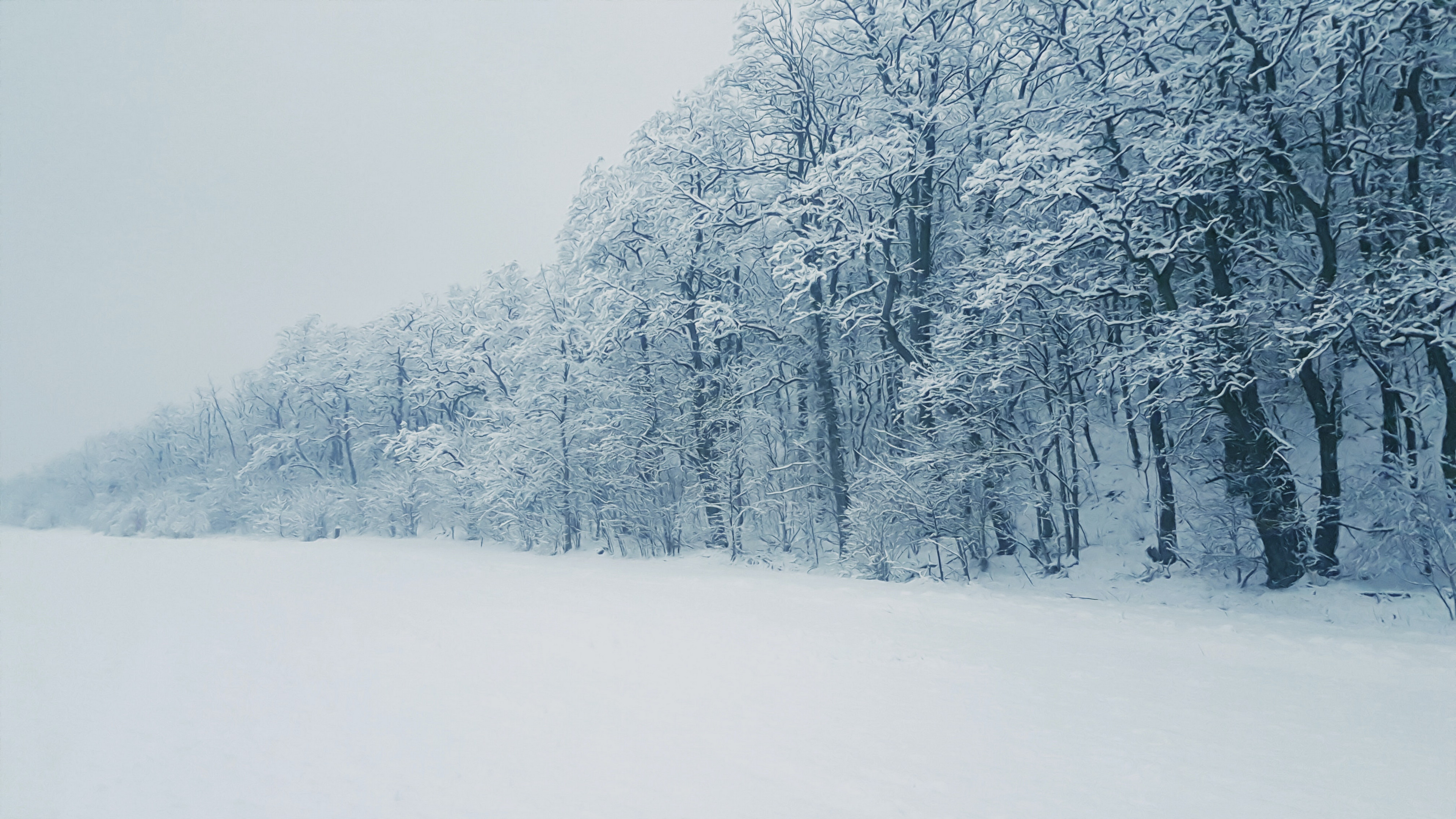 北方冬天雪景照片图片