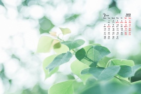 Eye protection natural scenery calendar wallpaper for March 2022
