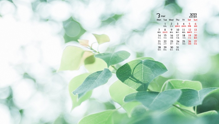 Eye protection natural scenery calendar wallpaper for March 2022