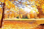 The most beautiful autumn scenery pictures in 2021 desktop wallpapers