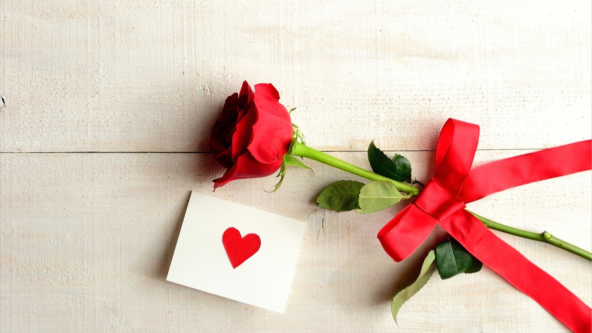 520爱的红玫瑰花桌面壁纸图片