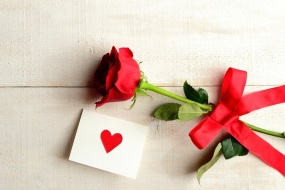 520 Love Red Rose Desktop Wallpaper Picture