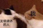 发明调休的人VS我