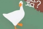 大鹅蛤表情包