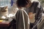 超级好看的男生真人帅气男生头像图片