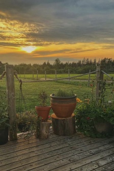 WeChat Farm Practical Landscape Picture