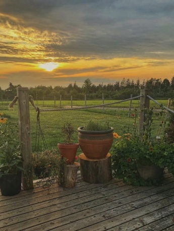 微信农场实用风景图