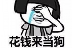 花钱来当狗，打骂不还手