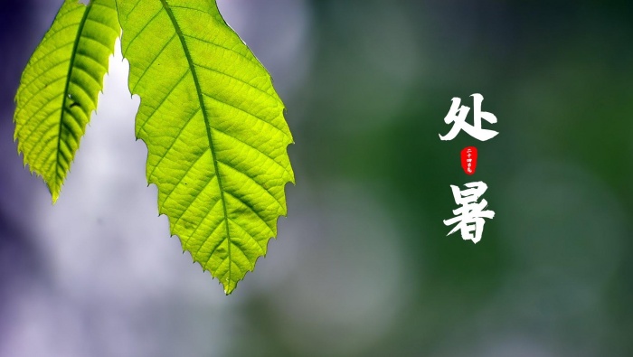 24節氣之處暑電腦壁紙圖片