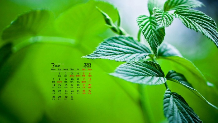 2022年3月保護視力綠植日曆壁紙