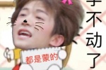 都是蒙的学不动了