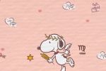 Snoopy twelve constellations cartoon mobile wallpaper