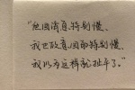 它会消息特别慢
我也故意会的特别慢
我以为这样就扯平了