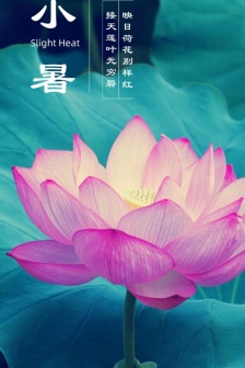 Xiaoshu mobile wallpaper pictures
