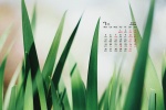 July 2021 summer grass green leaves eye protection desktop calendar wallpaper