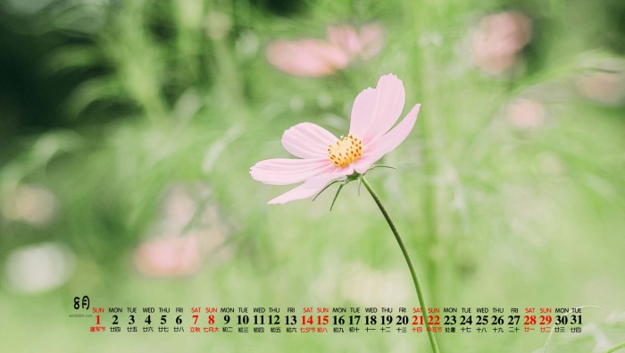 2021年8月小清新花朵日历壁纸