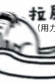 铲屎官必备表情包