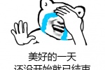 美好的一天还没开始就已结束表情包