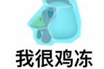 我很鸡冻