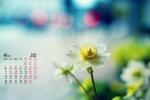 Eye-protecting green plants HD desktop calendar wallpaper for April 2022