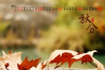October 2021 Autumnal Equinox Desktop Calendar Wallpaper