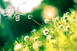 Twenty-four solar terms and the beginning of spring pictures desktop wallpaper