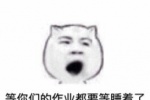 等你们的作业都要等睡着了