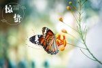 Twenty-four solar terms: Awakening of Insect pictures desktop wallpaper