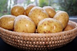 HD potato picture desktop wallpaper