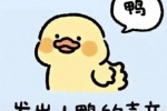发出小鸭的声音表情包（鸭）