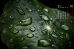 April 2022 dewdrops on grass tips calendar wallpaper