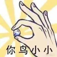 朋友圈爆火小鳥表情包