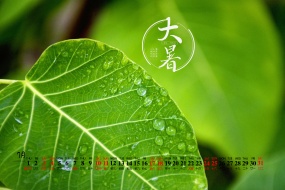 July 2021 summer desktop calendar wallpaper