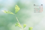 April 2022 Eye Protection HD Desktop Calendar Wallpaper