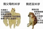 Summary of emoticons comparing two dogs