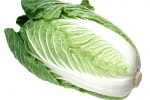 白菜高清图片
