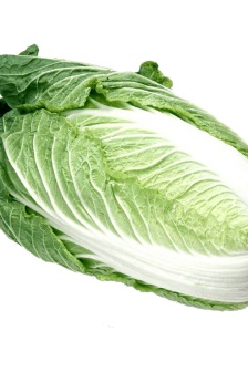 Head portrait of a cabbage