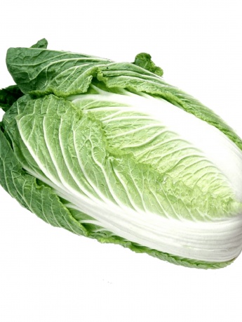 Head portrait of a cabbage