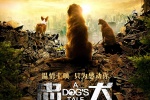 电影《忠犬流浪记》海报图片