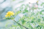 2021年9月护眼高清桌面日历壁纸