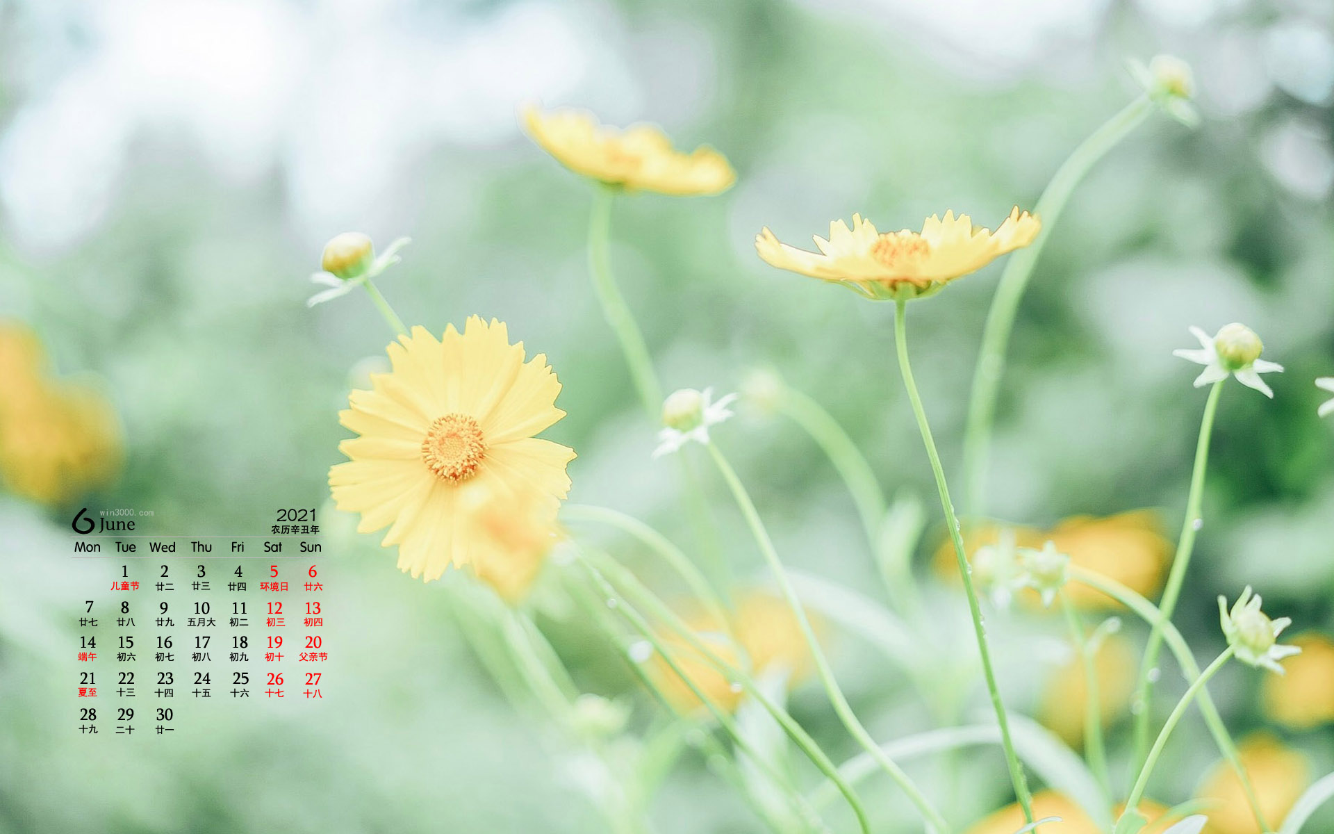 2021年6月绿叶花卉蓝天桌面日历壁纸