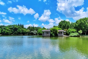 晴空万里蓝天白云清新风景壁纸