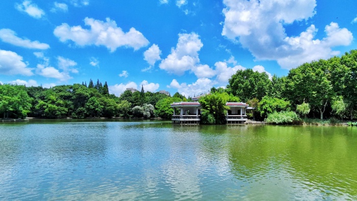 晴空萬裏藍天白雲清新風景壁紙