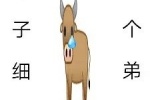 牛子细细是个弟弟表情包