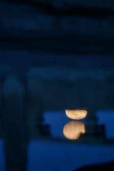 Forbidden City Lantern Festival HD Wallpaper