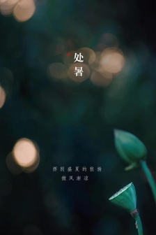 Summer mobile phone wallpaper pictures