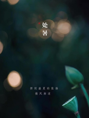 Summer mobile phone wallpaper pictures