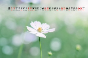 Eye protection HD desktop calendar wallpaper for January 2022