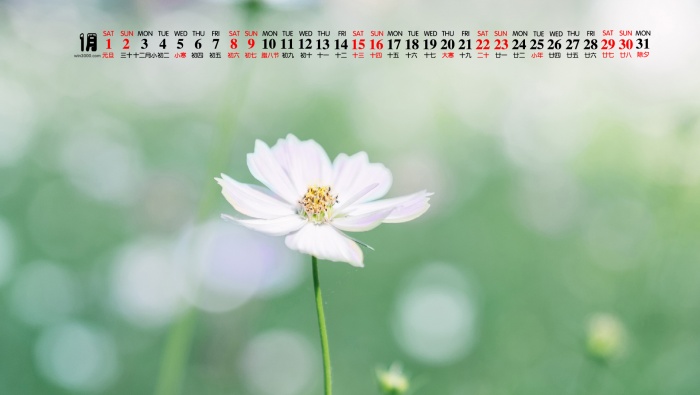 2022年1月护眼高清桌面日历壁纸