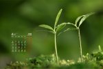 Eye-protecting green landscape desktop calendar wallpaper for April 2022